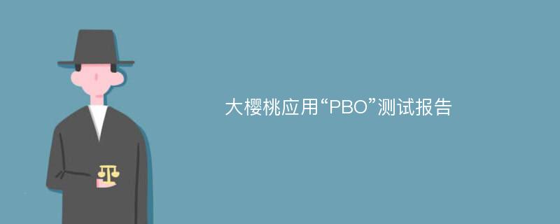 大樱桃应用“PBO”测试报告