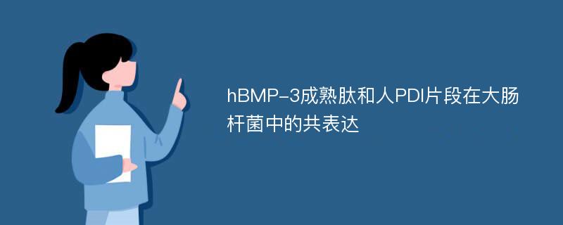 hBMP-3成熟肽和人PDI片段在大肠杆菌中的共表达