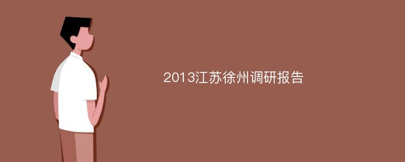 2013江苏徐州调研报告