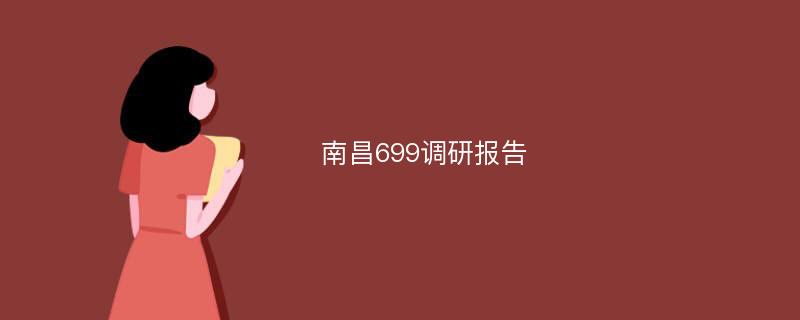 南昌699调研报告