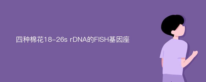 四种棉花18-26s rDNA的FISH基因座