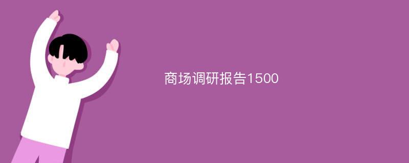 商场调研报告1500