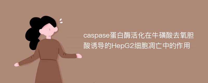 caspase蛋白酶活化在牛磺酸去氧胆酸诱导的HepG2细胞凋亡中的作用